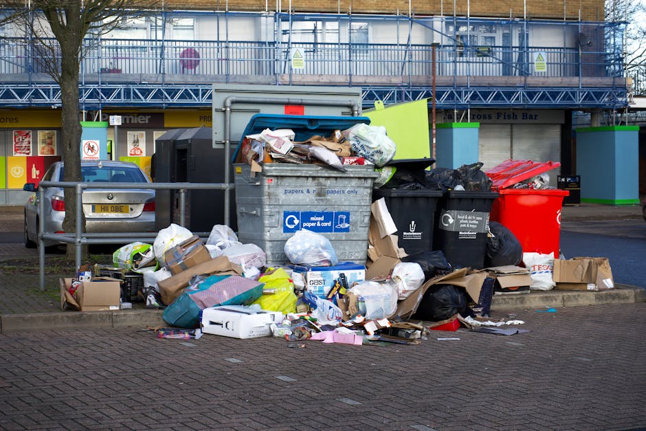 A pile of mixed household waste and rubbish overflowing from a metal recycling bin situated on a paved urban street. The bin, labeled for paper and cardboard, is surrounded by numerous black, white, and brown rubbish bags, as well as flattened cardboard boxes and loose paper cluttering the ground. To the left, a silver car is parked behind a metal railing, and behind the waste disposal area, a row of storefronts and a multi-story building under construction or renovation, covered in blue scaffolding, can be seen. The scene is illuminated by natural daylight, casting soft shadows on the pavement, with a leafless tree standing to the left of the rubbish to indicate a colder season. The overall environment suggests a typical waste collection and disposal area that may require alternative rubbish removal services, such as private rubbish clearance by Rubbish Removal Ealing, to manage excess household waste effectively and responsibly.